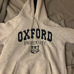 Grå hoodie - En jätte snygg grå vintage hoodie i ganska bra skick lite nopprig men de går att noppra bort! BUD PÅ 300 KR JUST NU!