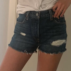 Levi’s shorts - Jeansshorts i nyskick, w23