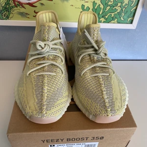 Yeezy antila *Dswt* - Storlek 43, 1 av 3, kvitto och allt finns 
