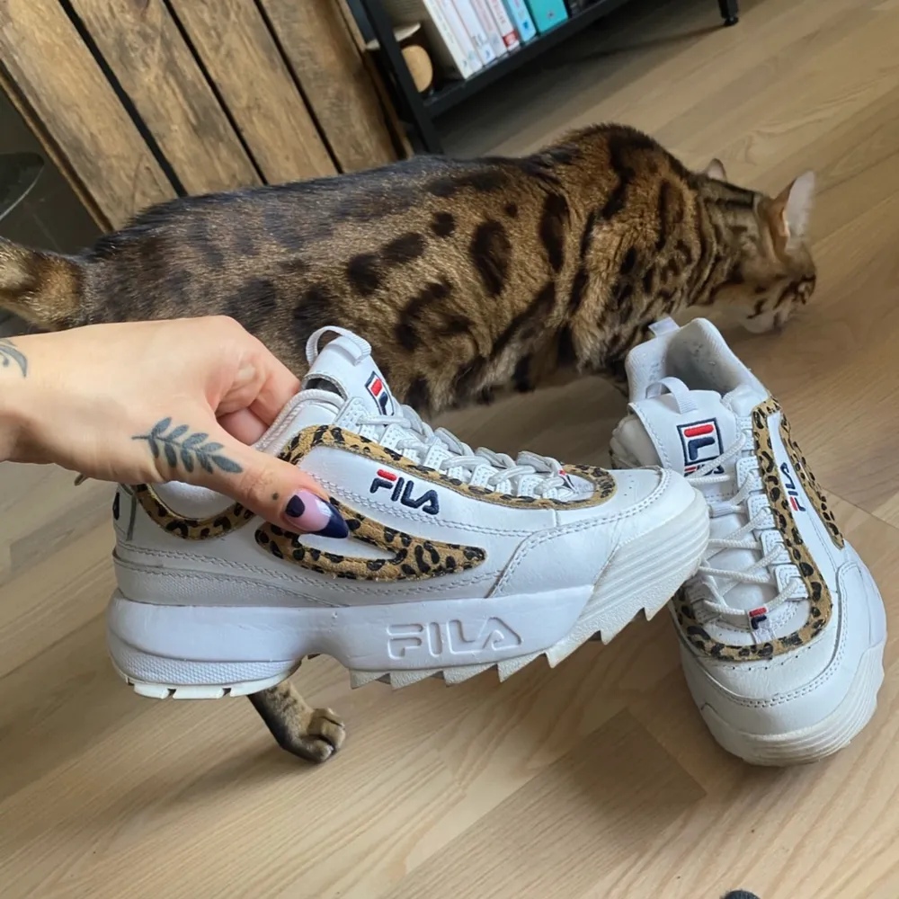 Limited edition leopard fila disruptor II