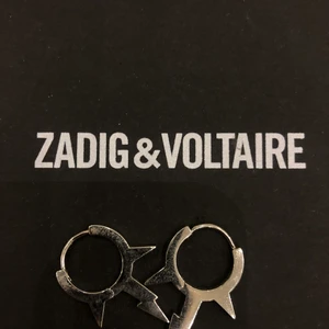 ZADIG & VOLTAIRE öronhängen  - SUPER snygga öronhänge från Zadig & Voltaire, fint skick - som nya✨ silver. 