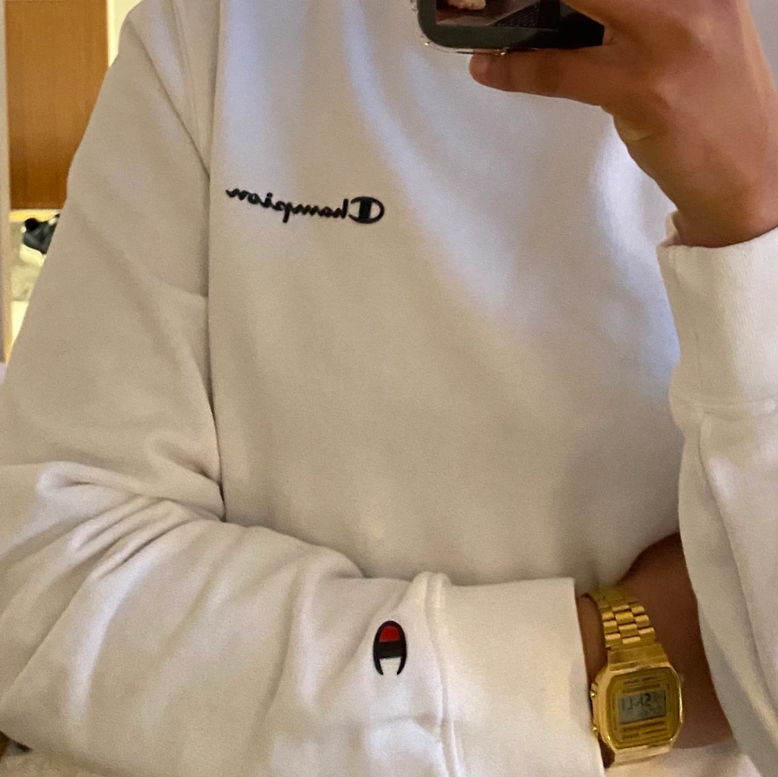 Champion sweatshirt