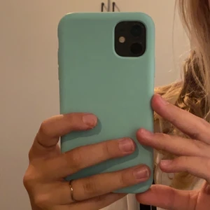 Skal  - Jätte fint blå/grönt skal, använt ganska mycket! Finns lite sprickor! 💙