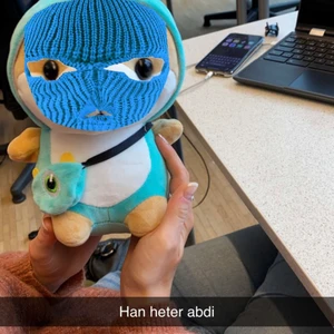 Abdi - Fullrasad japansk hund. Han heter abdi och kan ha beckmarväska, munskydd och ögonlapp. Säljer då jag har hundfobi. Limited edition