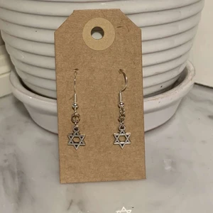 Silverörhänge davidsstjärnan  - Antisemiter har funnit i evigheter, judar har länge och är en idag förföljda och diskriminerande. Årligen anmäls hatbrott med antisemitska syften. Religionsfrihet är en mänsklig rättighet och tillsammans kan vi värna om denna! (P.s krokarna är i sterling silver och nickelfria )