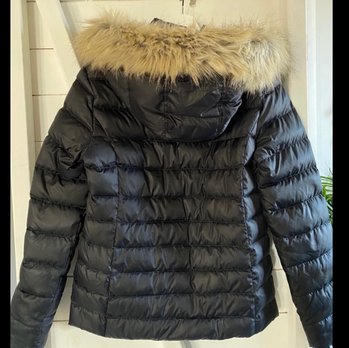 Tommy Hilfiger jacka - 91