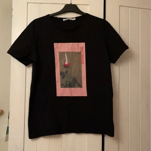 T-shirt  - T-shirt från nakd i strl M. 35kr! 