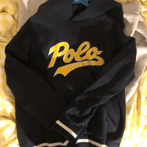 Hoddie - En fin polo tröja som säljs då den inte kommer till användning. Är som nu och har bara används ett få tal gånger. Betala själv för frakt.