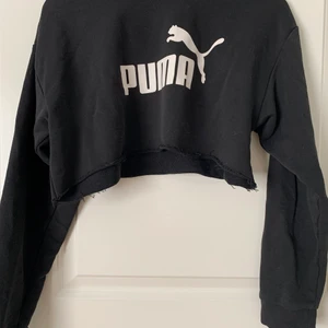 puma - en kort avklippt puma tröja 