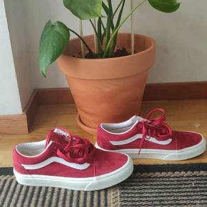 Old-school vans röda  - As fina vans som tyvärr inte kommer till användning. Nästan lite velvet aktiga i tyget.  Har endast haft på mig dem en gång så de är i nyskick. 