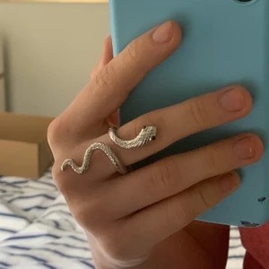 Silver ring - Orms som ringlar sig runt fingret
