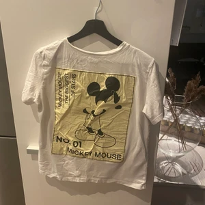 Zara tröja  - En Micke mousse tröja, som jag har växt ut och inte används så många gånger, skriv för fler bilder 