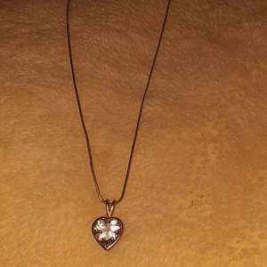 Halsband - Vissa delar e äkta silver e inte säker på att hela är äkta silver