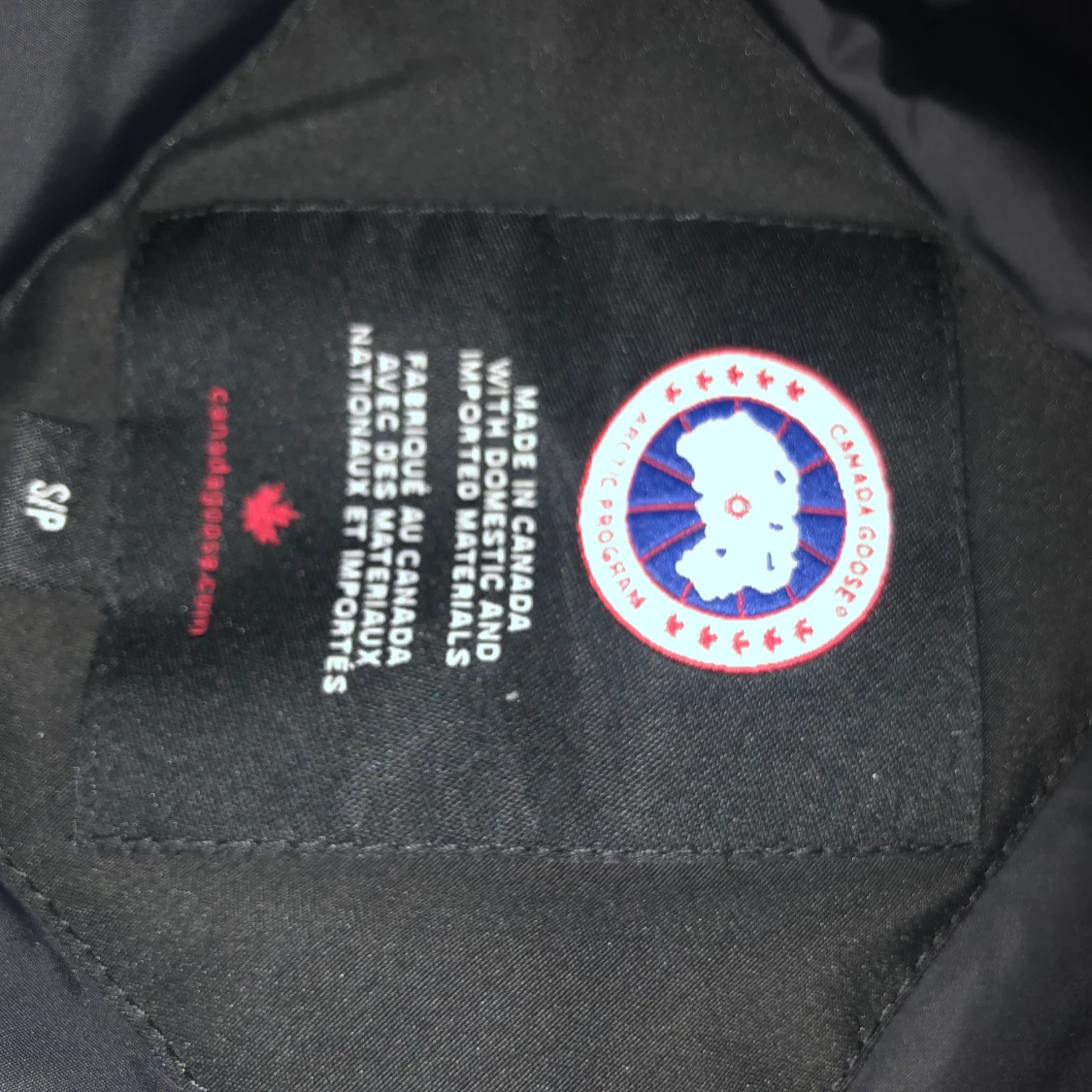 Canada goose - 91