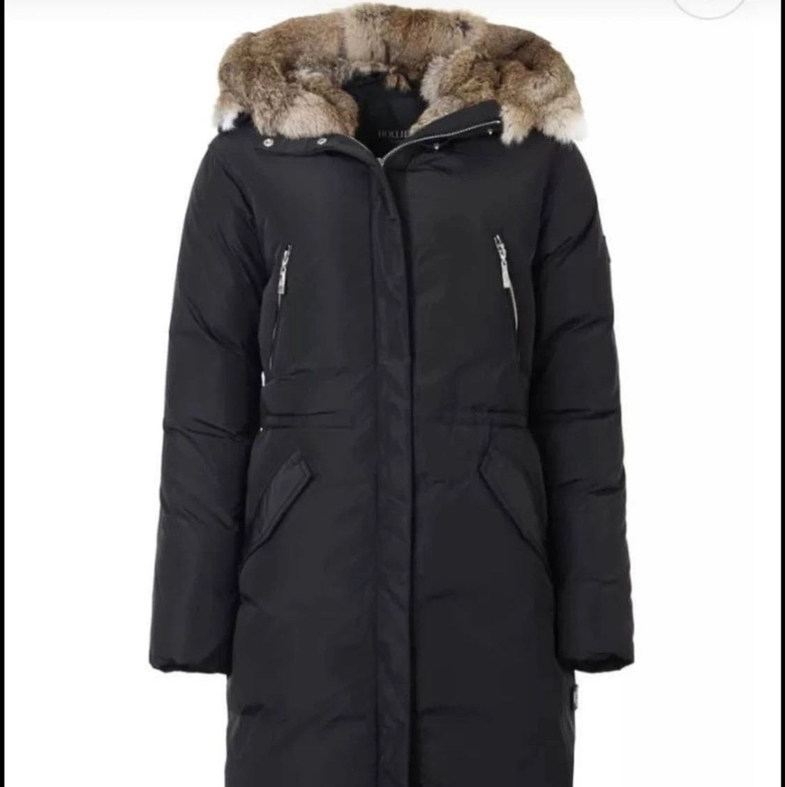 Powder mountain hollies