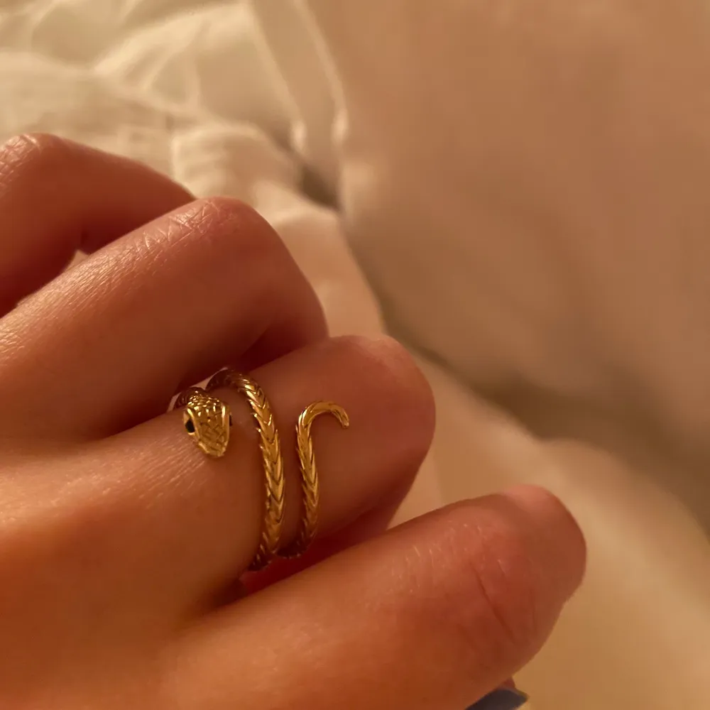 Säljer min fina orm ring från Bianca Ingrossos kollektion med guldfynd. Guldplaterat silver. Bra skick! . Accessoarer.