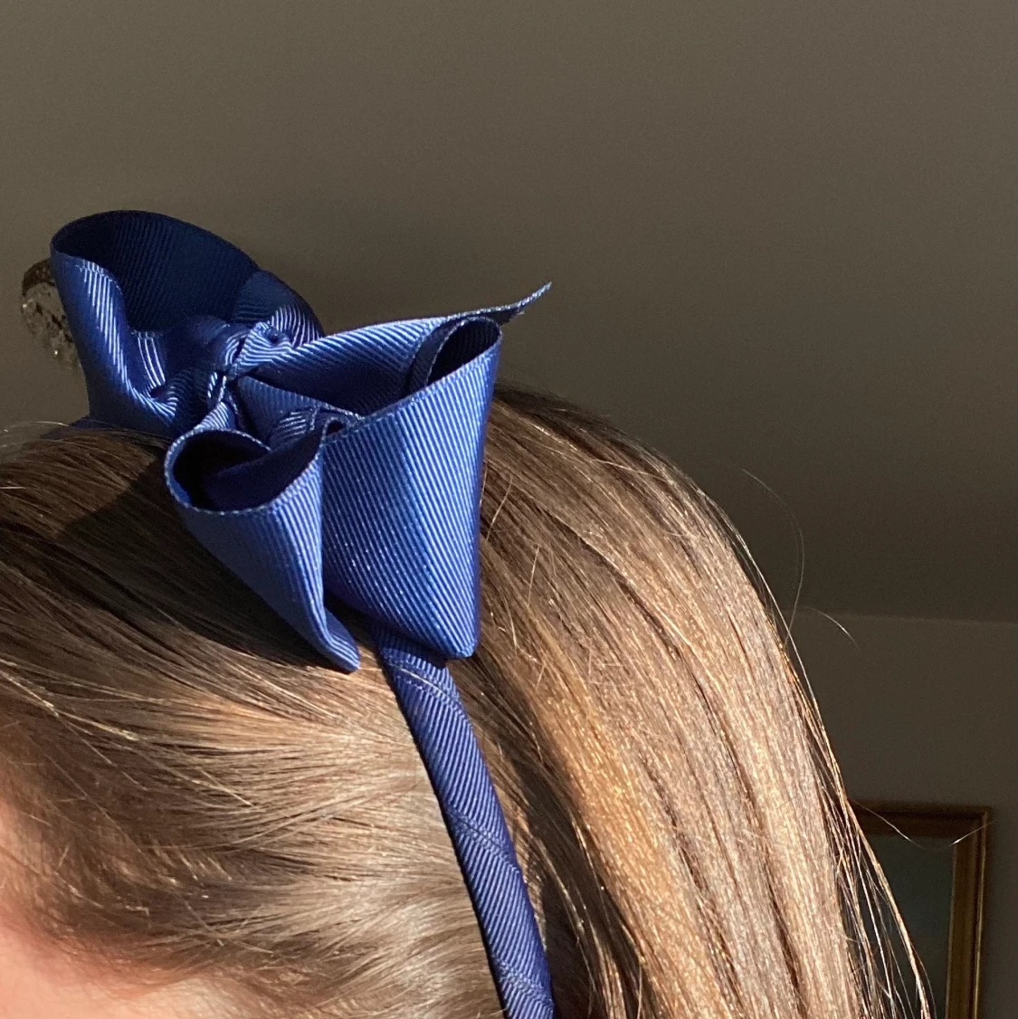 Hårskenor med rosetter - 90