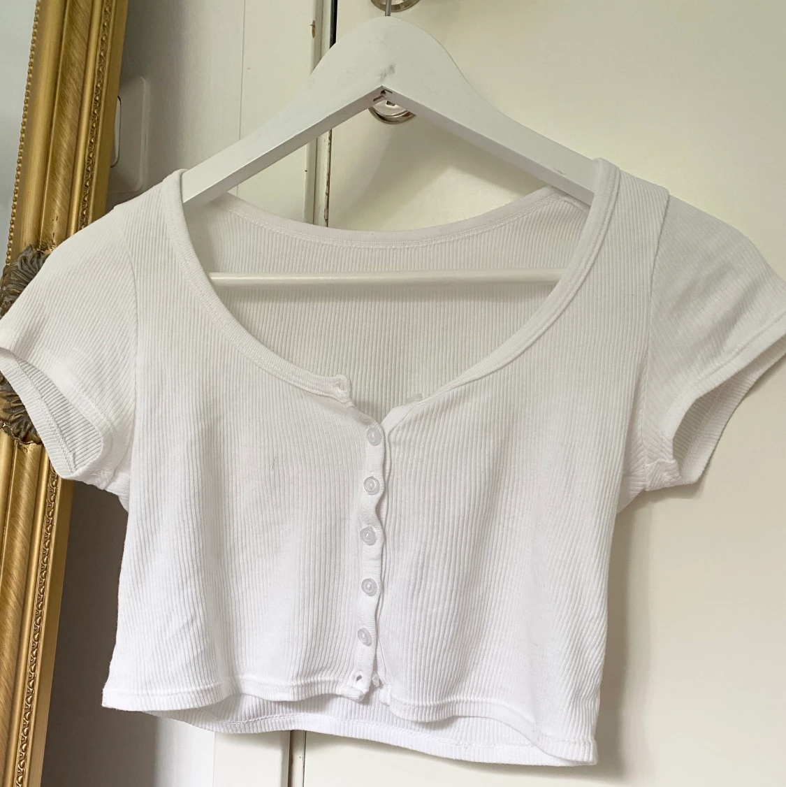American Apparel button up crop topđ