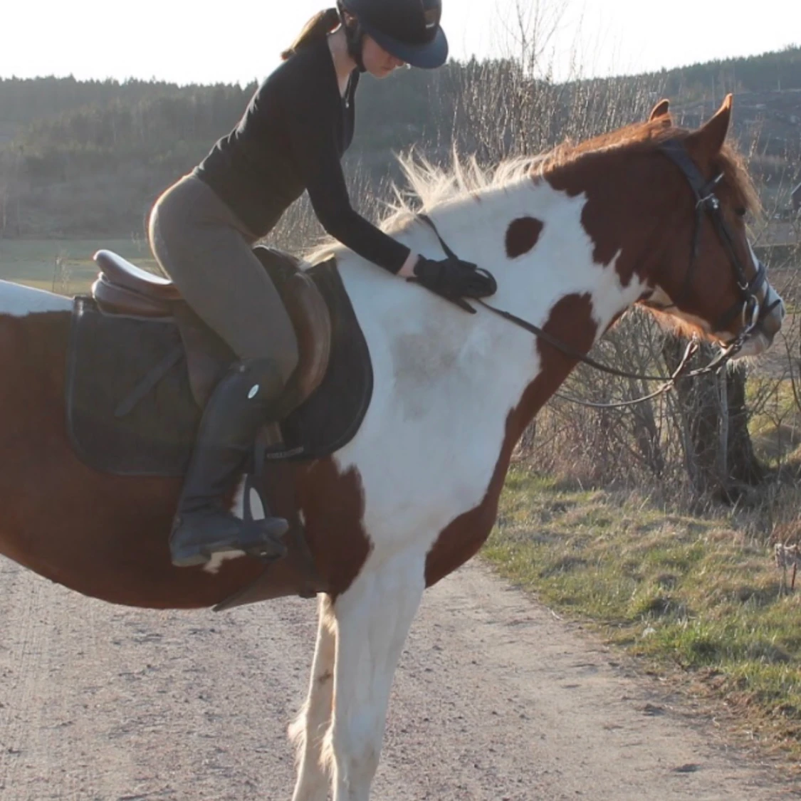 Zaczess byxor ASH BROWN - 91