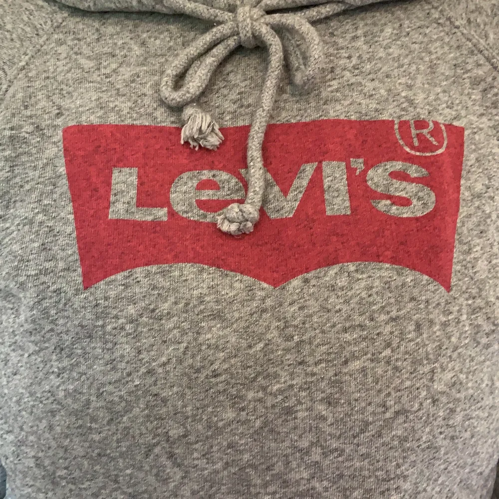 Grå Levis hoodie som är mycket lite använd, inga skador och är i jättebra skick. Använder inte längre då det inte riktigt är min stil längre💗. Hoodies.