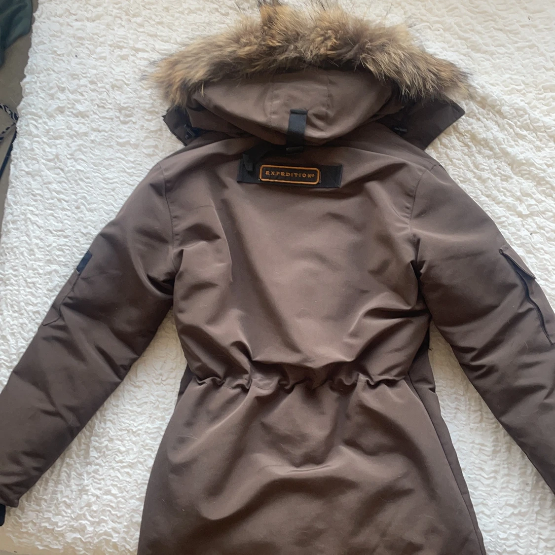 Canada goose  - 90