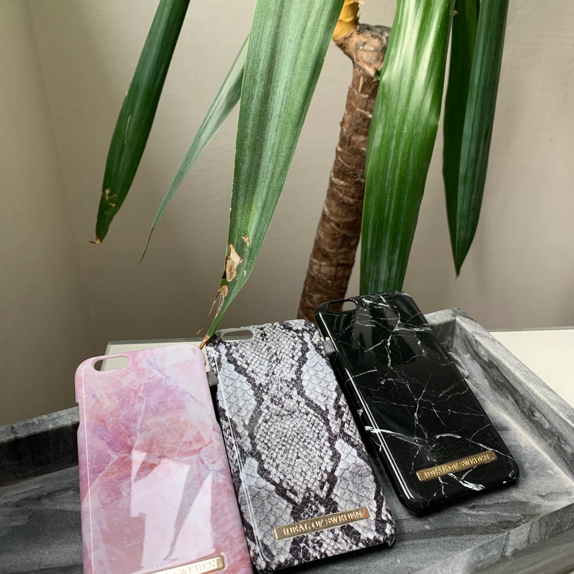 Ideal of Sweden skal 