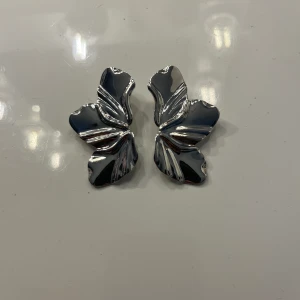 Smycken - Fina örhängen 💕