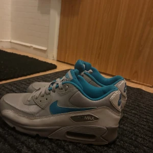 Air Max 90 - Sällsynt färg snygga 
