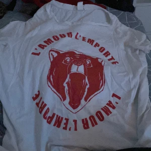 En tröja  - En tröja i bra skick 