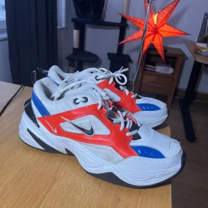 Nike skor  - Använt 3 gånger, som nya! 