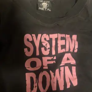 System of a down t shirt köpt från heavy metal, har ett litet hål som knappt syns men går att sy ihop. Dma om frågor