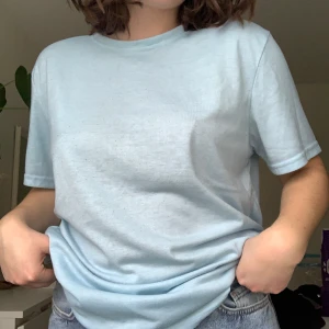 Blå T-shirt - En blå T-shirt med tryck i ryggen. Bra skick, inte använt den mycket. Det står att den är XL men jag skulle nog säga att den är L. 