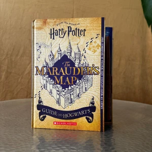 Harry Potter  - Harry Potter bok ish 