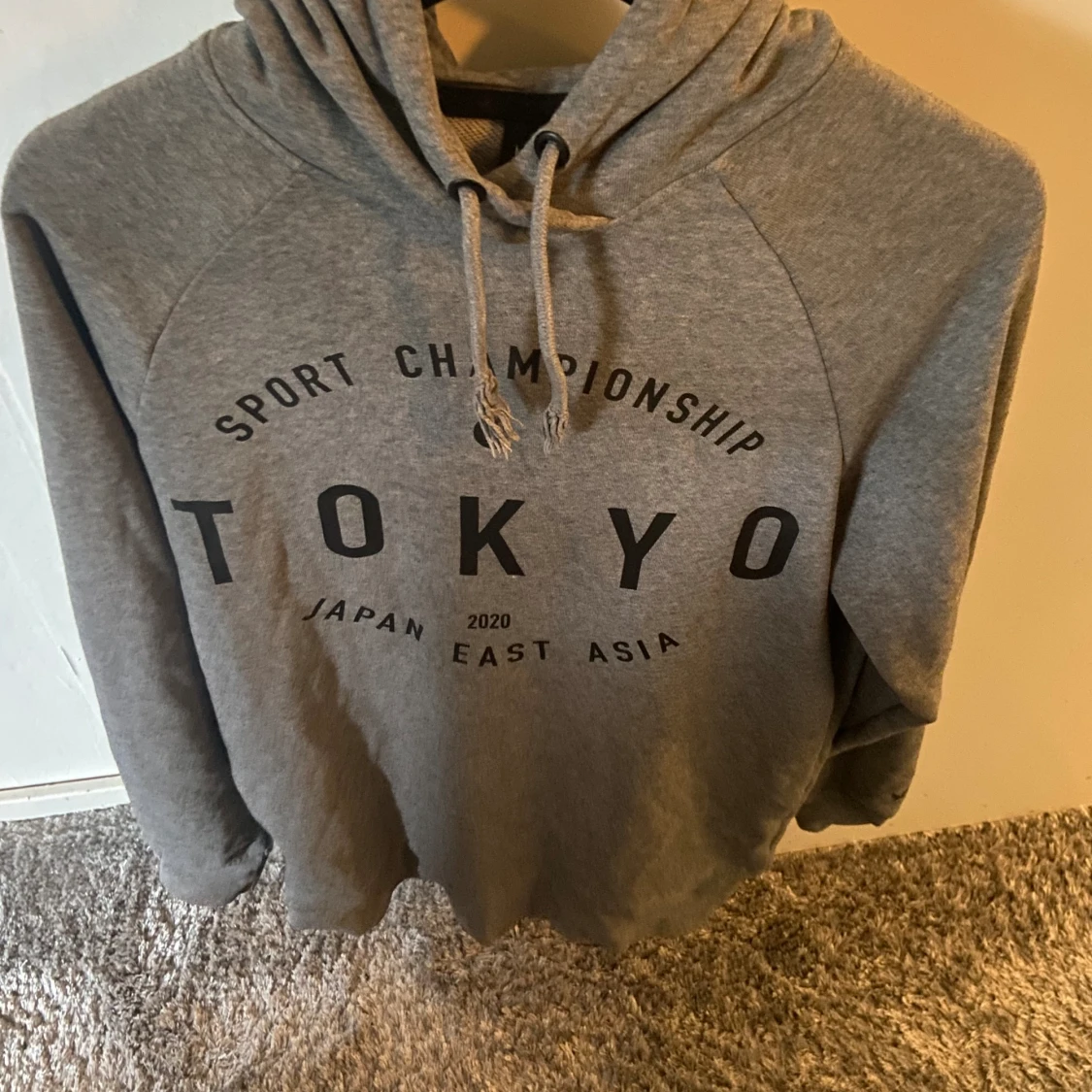 sport chamipon Hoodie  - 90