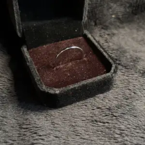 Silver ring (Silverpläterad)