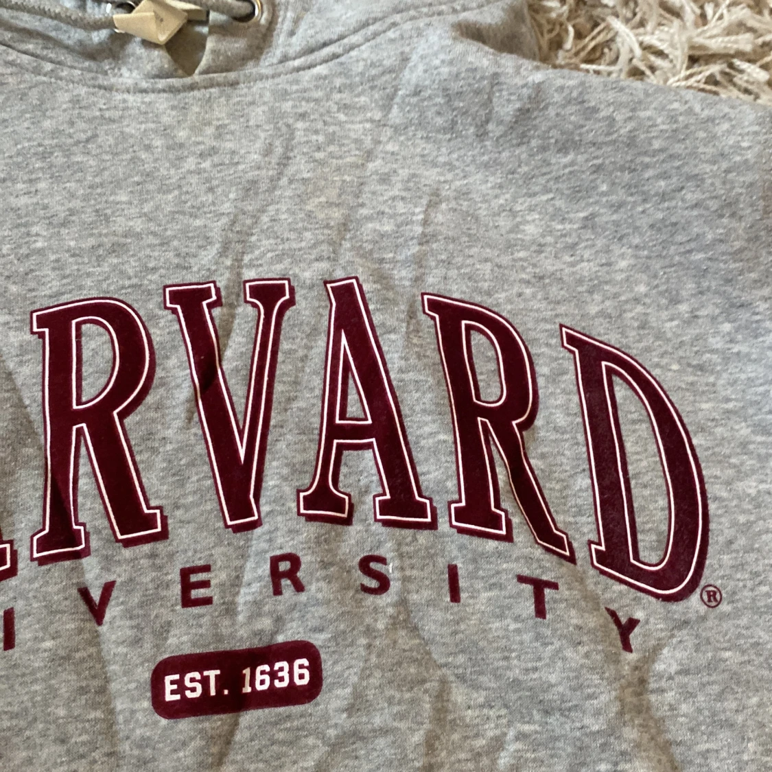 Grå Harvard hoodie - 90