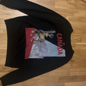  dsquared2 tröja  - Hej säljer dsquared2 tröja fick den i present och vill inte ha kvar den längre är i perfekt skick den är något år gammal så därför har jag inte kvitto men den är äkta 