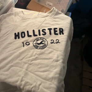 Holister långärmat  - En collage hoddie från holsiter 