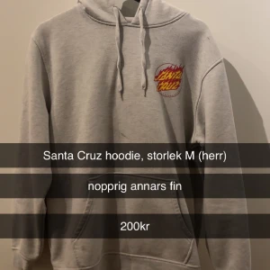 Santa Cruz Hoodie - Står i bild