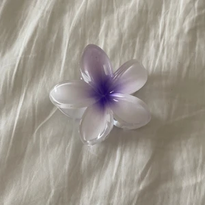 Söt hårklämma  - Oanvänd 💋