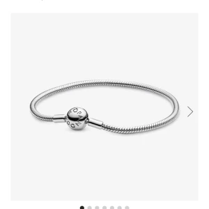 Berlock armband Pandora  - Säljer detta jätte fina berlock armband från Pandora som knappt är använt därav i bra skick, berlocker medföljer INTE,är lite osäker vilken st den är i men skulle tro att den är st 17 om det är några frågor så är det bara att skriva privat till mej💘