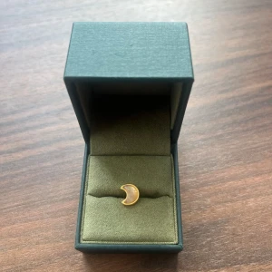 Maria nilsdotter örhänge - Säljer mitt superfina örhänge från Maria nilsdotter som inte längre säljs. Det är endast användt 1 gång så i nyskick, du får självklart med asken när du köper🤗