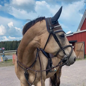 Huva - Brun, blå huva i stl full, säljer då hästen är såld och att den är för stor för dom andra. Stor i storleken så om din häst är under 160 eller har små öron Kmr den va förstor 