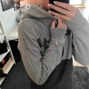 Snygg två färgad Champion hoodie🩶Använd endast ett få tal gånger🩶