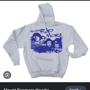 Mount rapmore hoodie - Bdjdjfknfnfbf