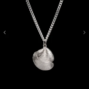 Maria nilsdotter halsband - Säljer ett halsband från maria nilsdotter i silver som heter treasure shell necklace. Knappt använt, skicket är som nytt och låda finns. De går att använda åt två håll. Ett med snäckan fram och andra med pärlorna fram, två halsband i 1,Nypris 5395kr.