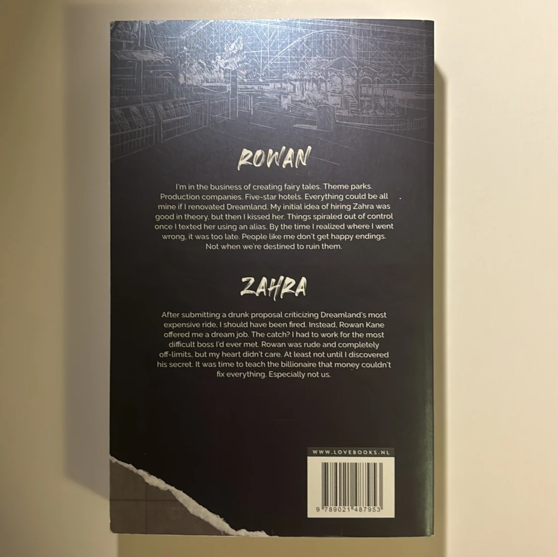 The fine print bokserie av Louren Asher - 90