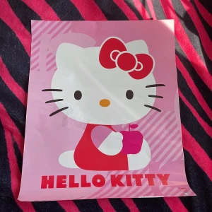 Hello Kitty poster  - jag vet inte vart jag ska ha den så kommer inte till användning men tryck inte köp nu då jag är inte 100% om jag vill sälja