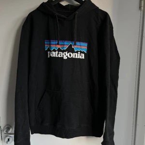 Patagonia Hoodie  - En hoodie med normal passform från patagonia som aldrig kommer till användning. Storlek L. 