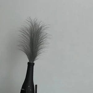 Vas  - Svart Vas med gråa fjädrar